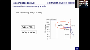 le système respiratoire (L6-3)