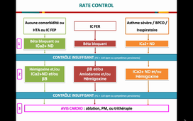 FIbrillation atriale - Rythme et fréquence - A Lafargue 2021