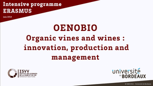 Regulation and rules for organic production