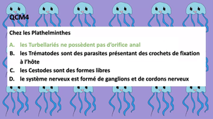 Enregistrement TUTORAT SEMAINE 46