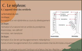 Enregistrement TUTORAT UE2 - 20230309