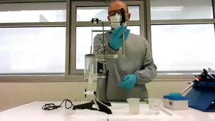 motilité intestinale-cuve à organe isolé