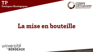 Mise en bouteille