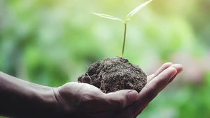 Entrepreneuriat - Thierry Vestraete