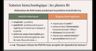 SDV4tutorat_semaine12.mp4