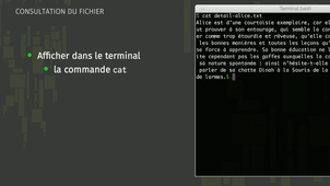 Séquence 1 - Traiter un ficher de texte