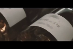 Présentation du parcours de sensibilisation aux risques professionnels