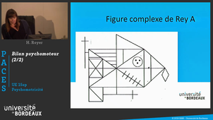 PACES1819_UE15sp_08_Royer_BilanPsychomot02_20190405.mp4