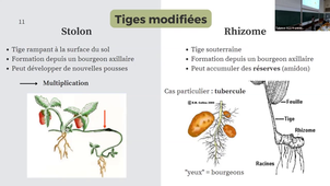 Enregistrement TUTORAT UE4 - 20230309
