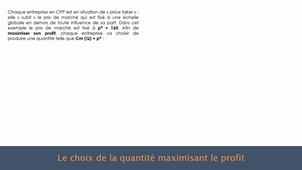Exemple d'analyse numérique 2 - Détermination de la quantité produite par une entreprise