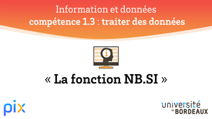 PIX - Compétence 1.3 - FonctionNB.SI