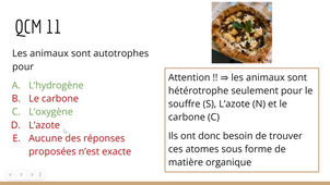 TUTORAT Semaine 4 - UE SDV4