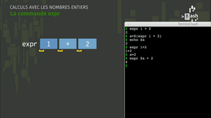 Séquence 3 - Effectuer des calculs numériques