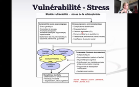 L3-UE2-Schizophrénie-2